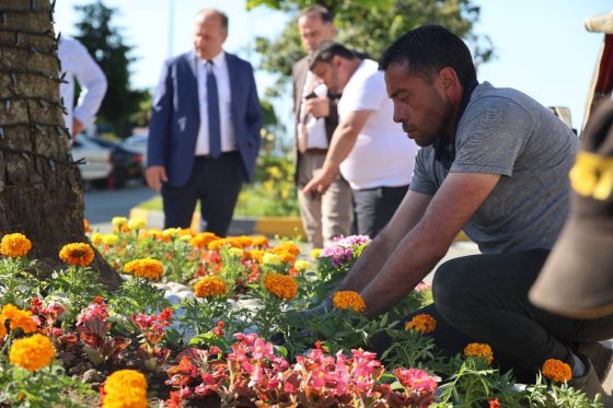 Peyzaj ve Çiçeklendirme Çalışmaları Devam Ediyor