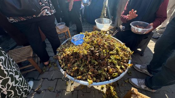 Festivalde Geleneksel Yarışma Heyecanı; Fındık Ayıklama
